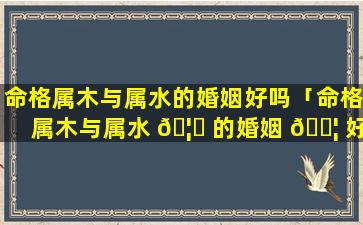 命格属木与属水的婚姻好吗「命格属木与属水 🦋 的婚姻 🐦 好吗女孩」